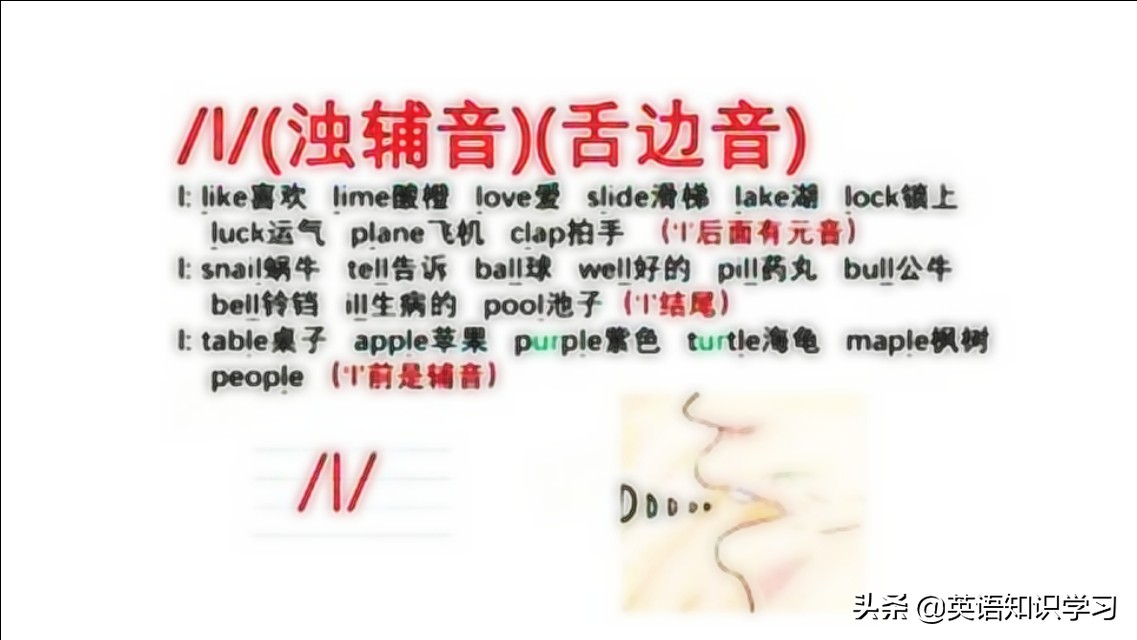 英语音标,L音大舌头矫正及练习,内附发音技巧