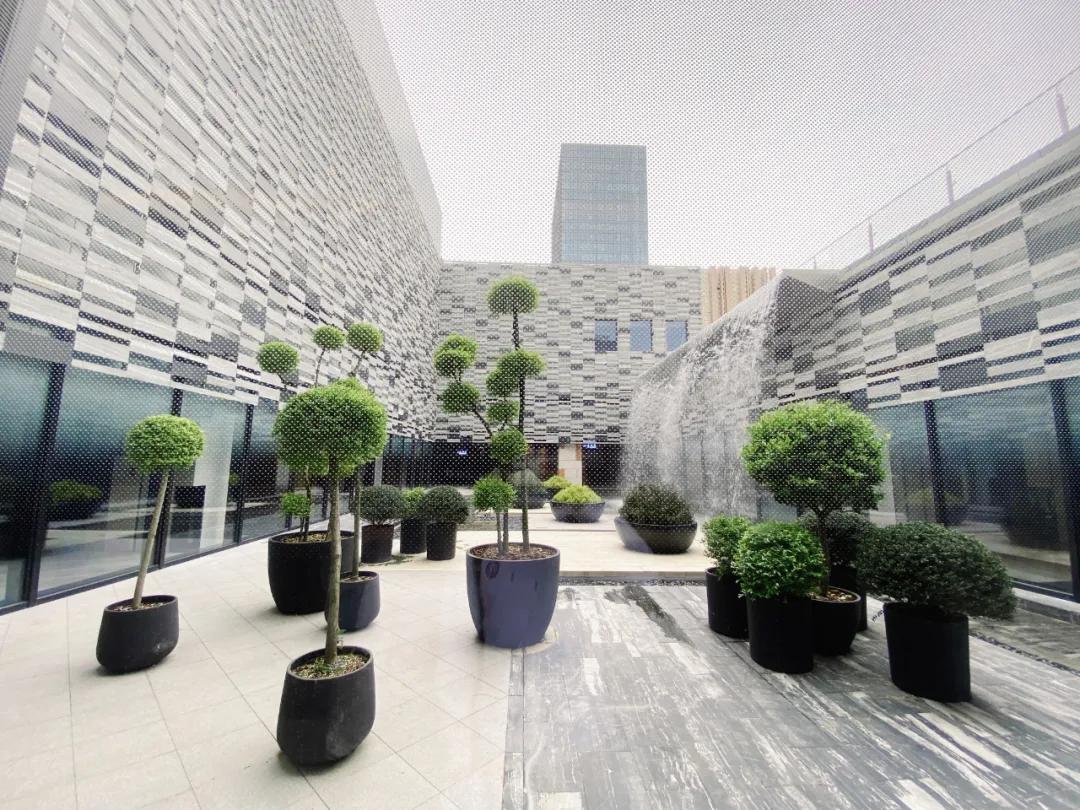 中国首家阪急百货开业,阪急百货为什么在宁波不在上海