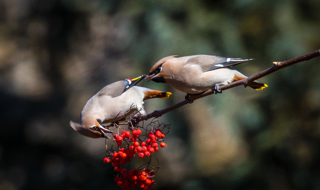 不会主动维持同事关系怎么相处,不会跟同事相处怎么办
