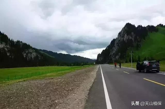 大美新疆百里画廊,北疆千里画廊打卡点