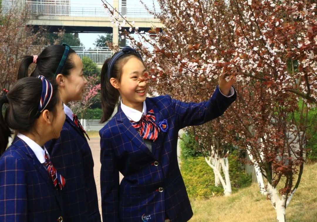 绵阳富乐中学富乐国际,为什么选择绵阳富乐国际学校