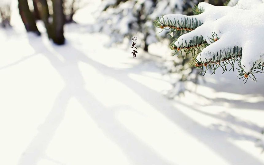 诗词里的二十四节气之大雪,描写节气大雪的诗词