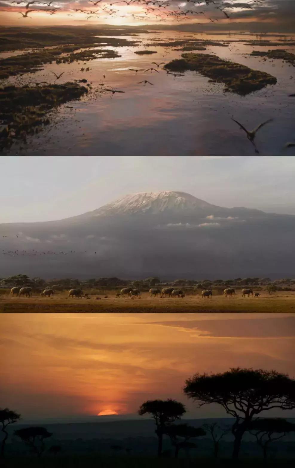 迪士尼狮子王,狮子王是迪士尼还是梦工厂