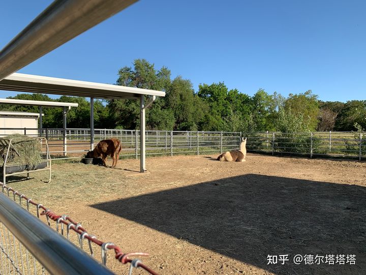 加州大学戴维斯分校和洛杉矶分校,加利福尼亚大学戴维斯分校qs