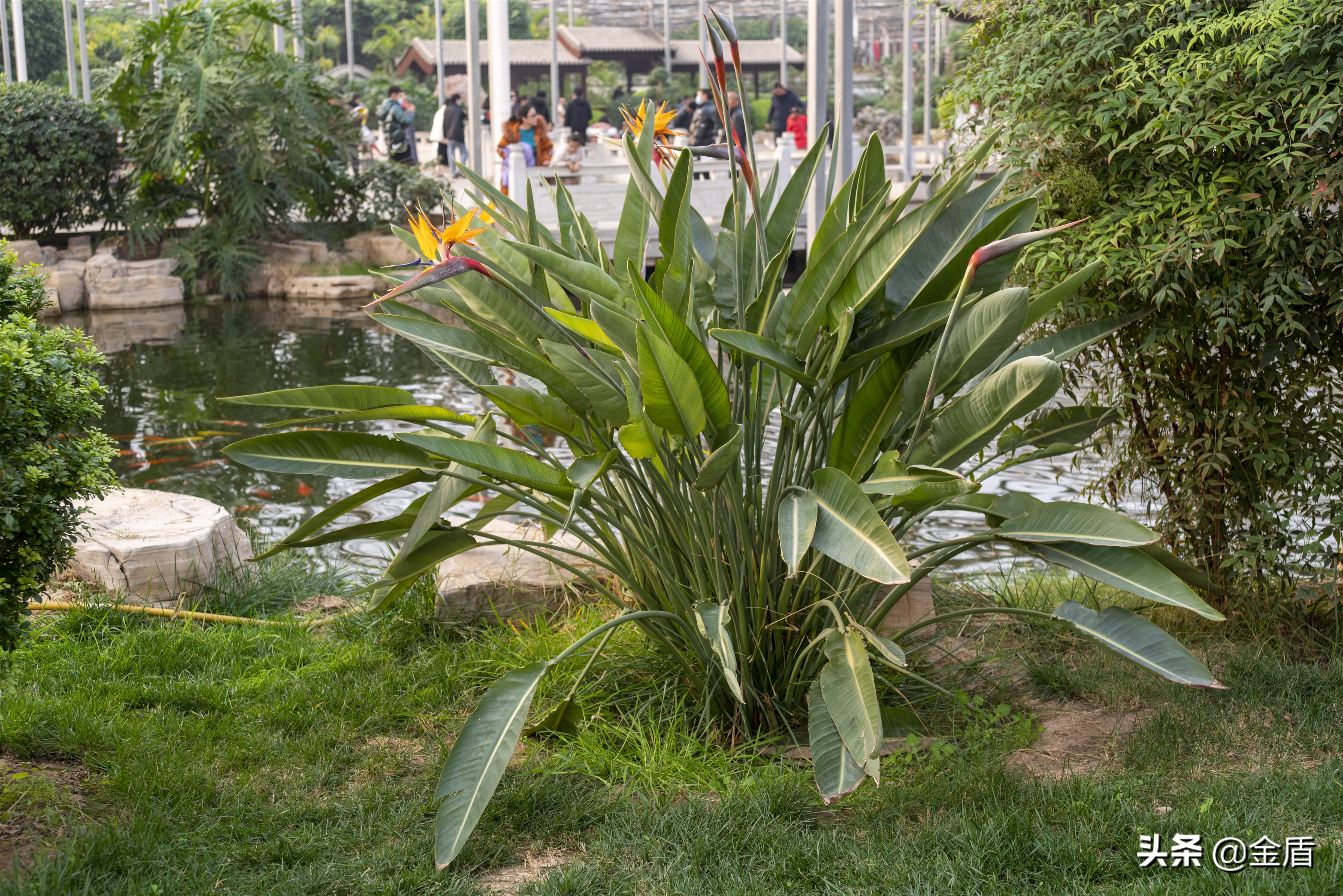 九天休闲谷好玩吗,九天休闲谷冬天开吗