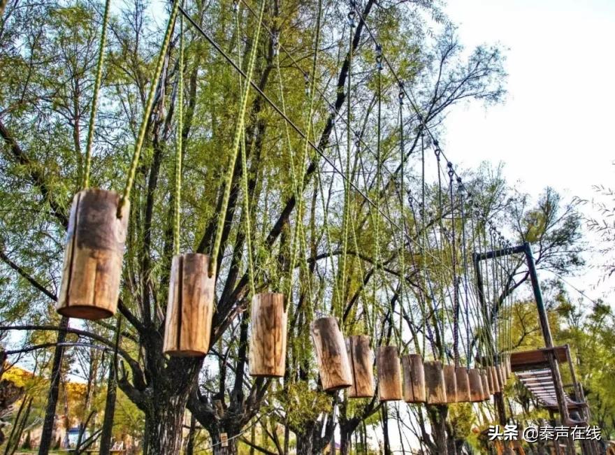 西安自驾榆林旅游攻略,榆林到青木川旅游攻略