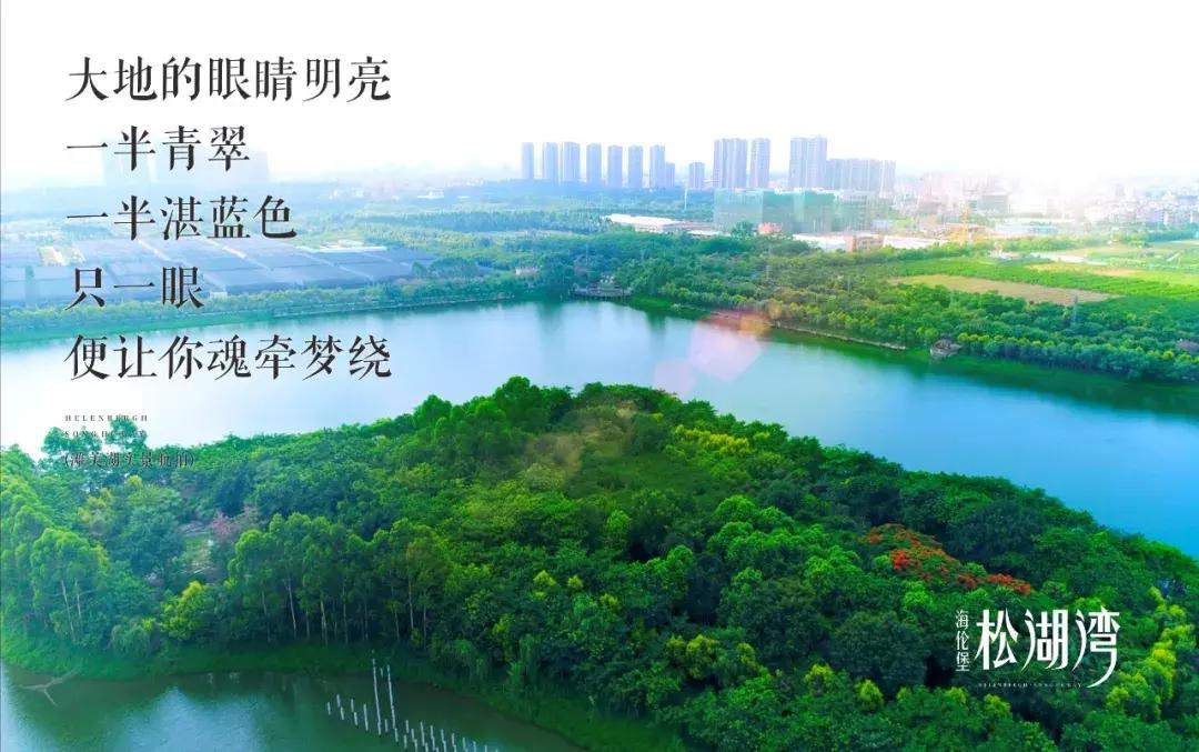 房有道正能量,房有道团购