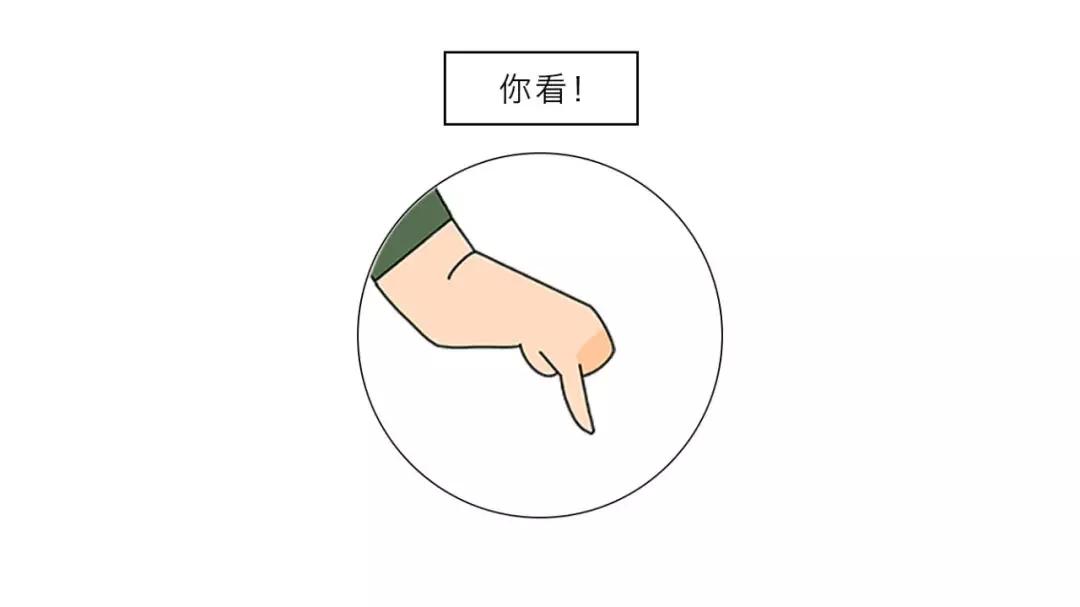 台湾宝岛茶,台湾最好的茶是哪个