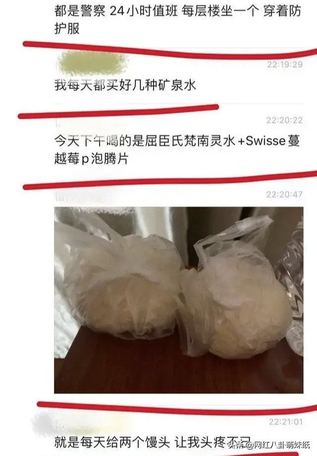 有这么一群人,薅着中国人的羊毛,硬舔着它国