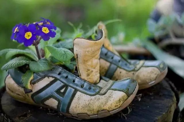 家里花瓶插花放点什么,创意养花花瓶