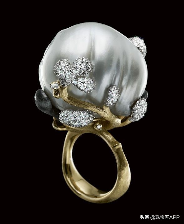 什么贝壳可以做成珠子,什么贝壳可以磨珠子