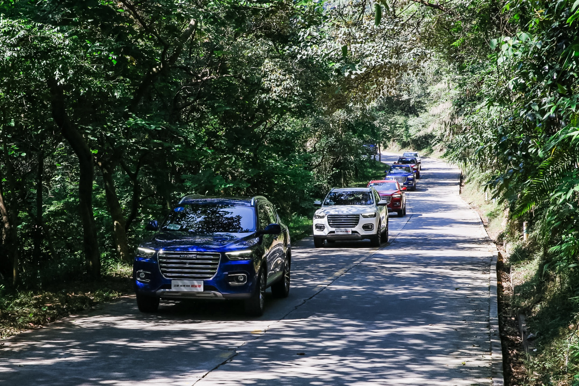 试驾哈弗h6油耗,最新款哈弗h6试驾评测视频