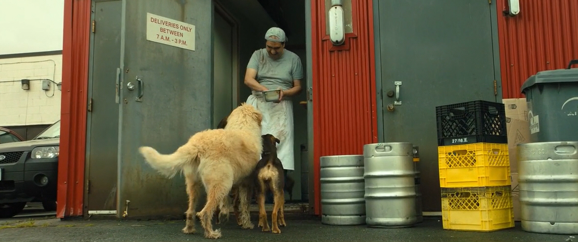 电影故事：一条小狗穿越四百英里回家的故事