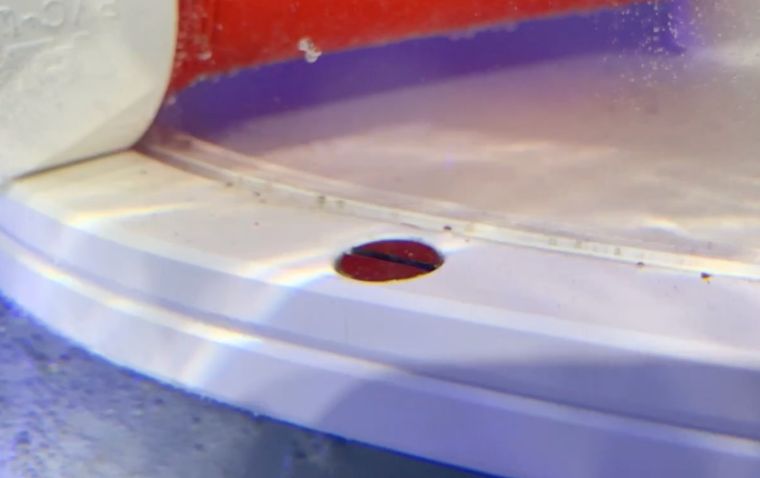 海水产品的优缺点,海水制作的产品有哪些