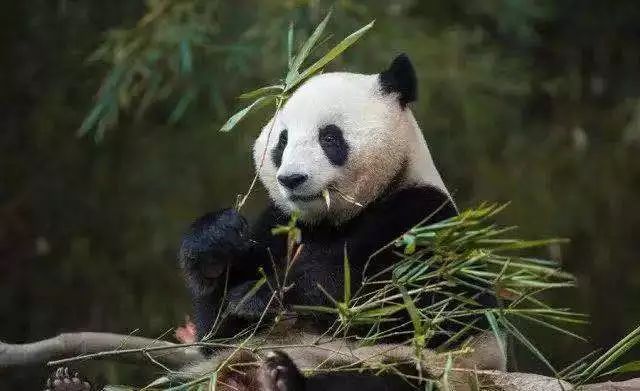 春节广州周边温泉游攻略,自由行广州温泉旅游攻略