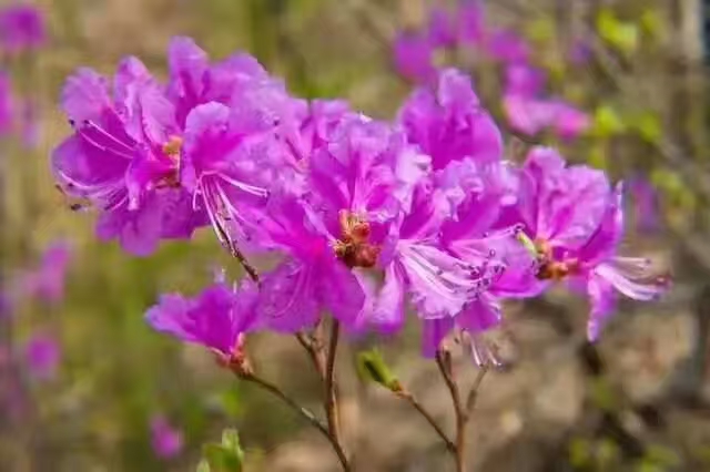 杩欎釜浜哄鎴戞潵璇村緢閲嶈浣滄枃,杩欎釜浜哄鎴戞潵璇村緢閲嶈鑻辫