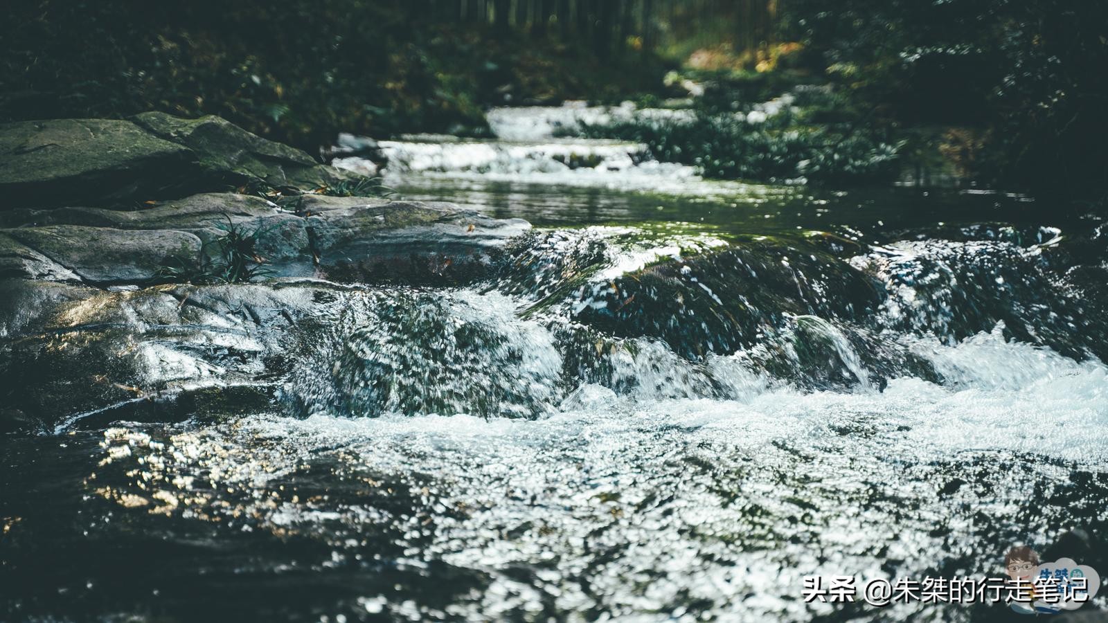 溧阳市区天目湖鱼头汤哪家最正宗,来溧阳一定要尝天目湖鱼头汤