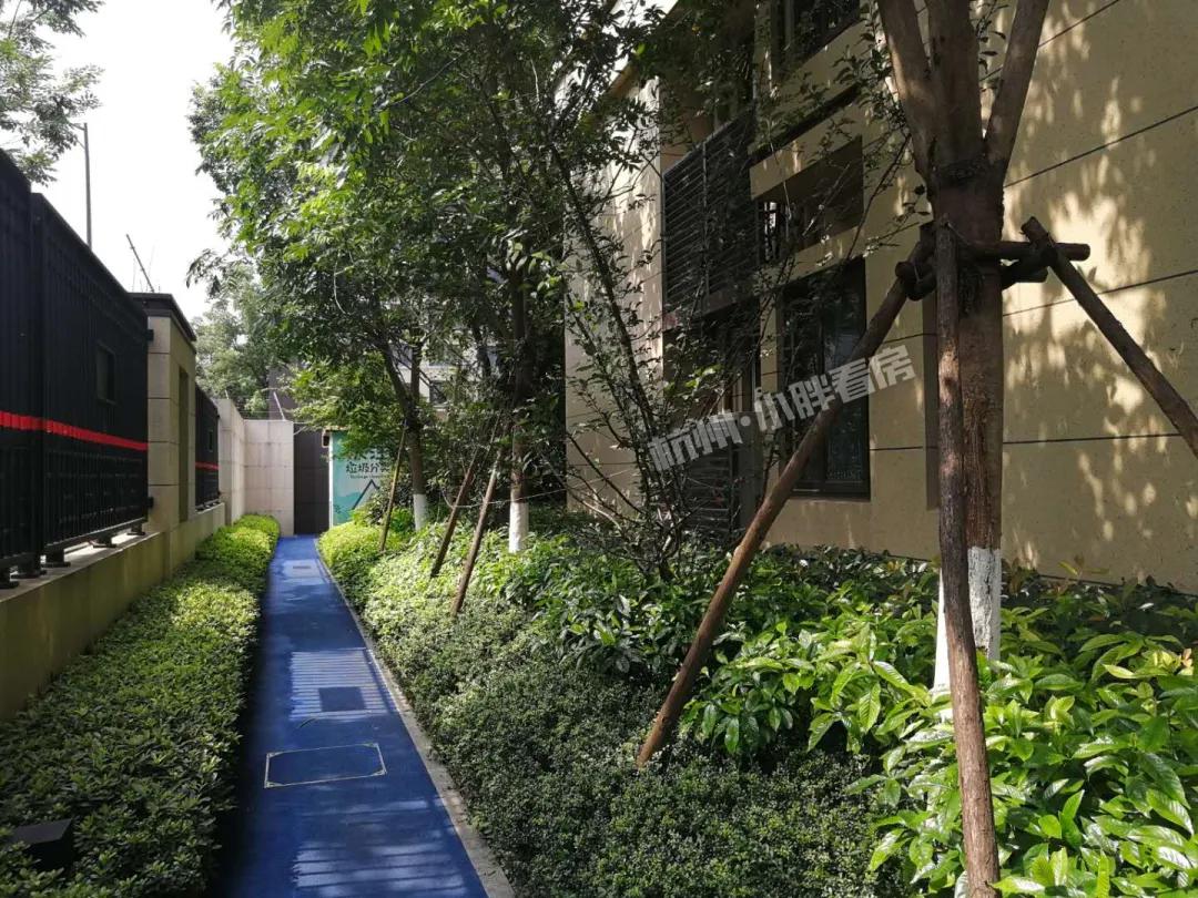 越卖越疯狂!万科星空凭什么代表未来科技城站上5万+