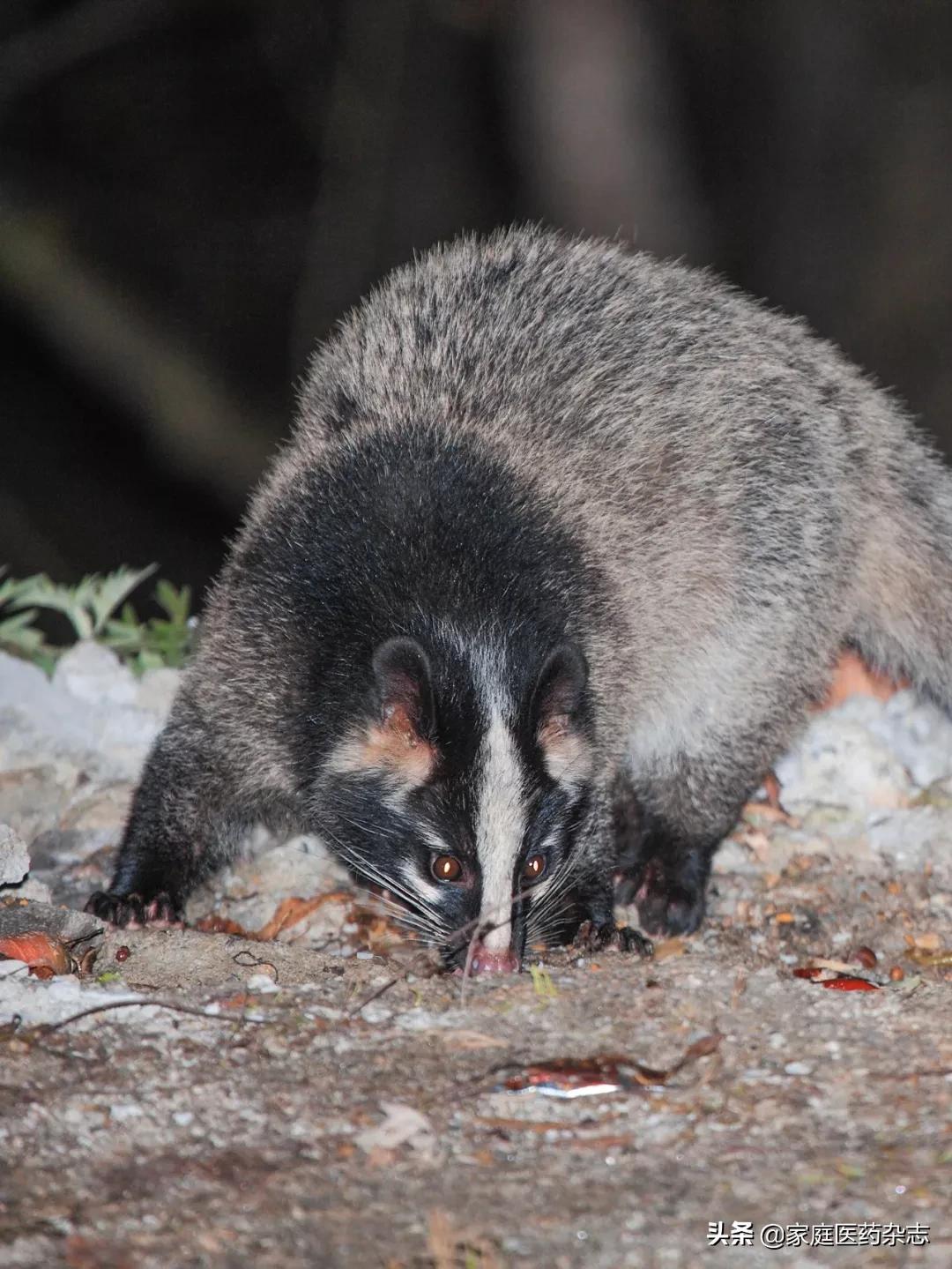 鍋囧鐥呮瘨鎰熸煋浜嗘垜,鍋囧鐥呮瘨鎰熸煋浜嗕綘