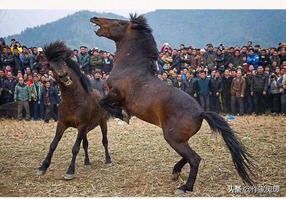 涔℃潙涔嬮┈鍥剧墖,涔℃潙瀹剁暅