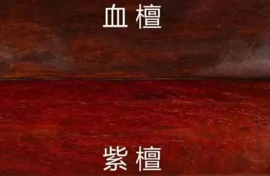 血檀木材的优缺点,血檀木属于什么档次的木材