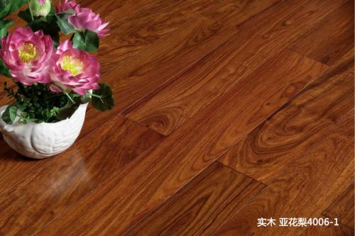 好运花梨,好运亚