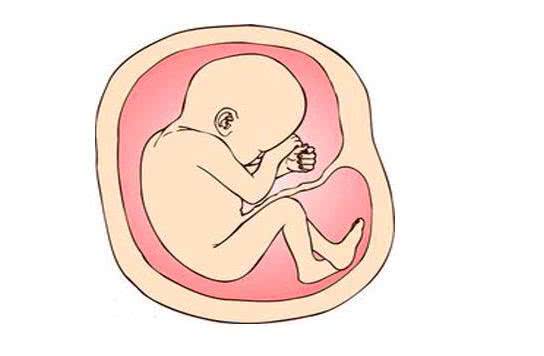 胎盘真的能抗衰老吗,胎盘女性吃了可以抗衰老吗