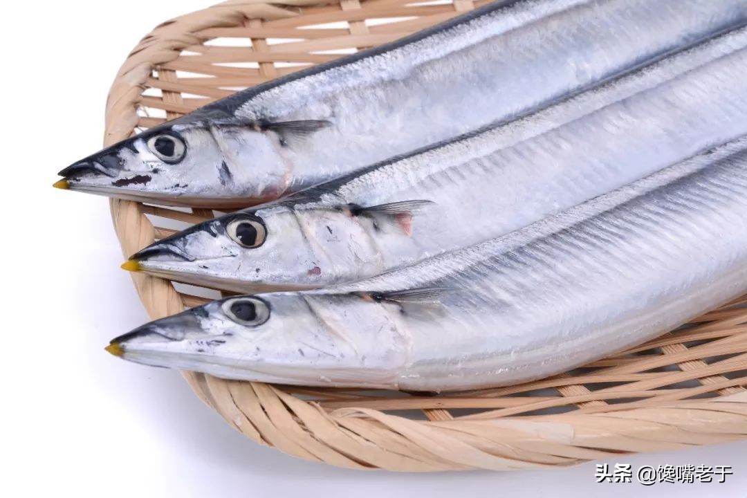 买带鱼黄眼睛和黑眼睛哪种最好,买带鱼黑眼珠好还是黄眼珠好