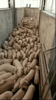 搞笑gif趣图妹子你别闹了,搞笑gif趣图妹子你这笑容太魔性了