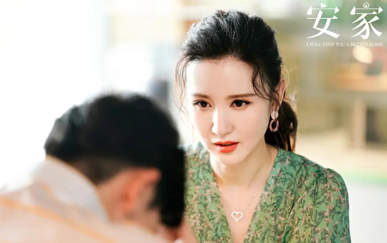 安家后续深度解析,安家透露出的问题