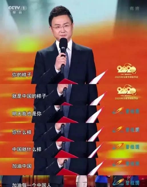 白岩松疫情直播什么频道,白岩松最新疫情报告发布