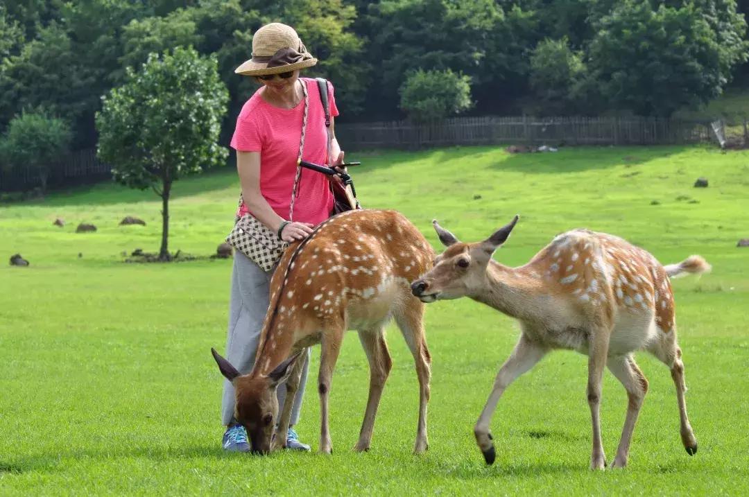 10个闺蜜沿着中俄罗斯边境自驾游,10个闺蜜结伴游中苏边境线