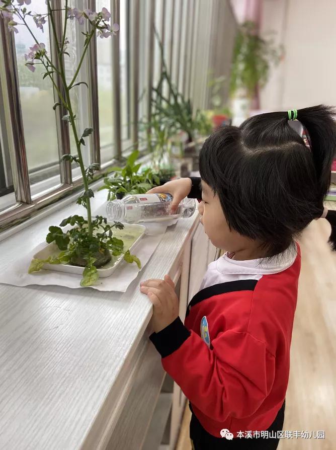 水米田幼儿园五一劳动节主题活动,幼儿园五一劳动节系列活动美篇