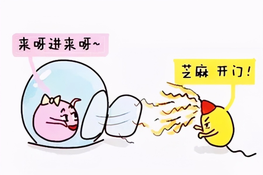 移植优质胚胎着床失败原因,质量差的胚胎为啥还要移植呢