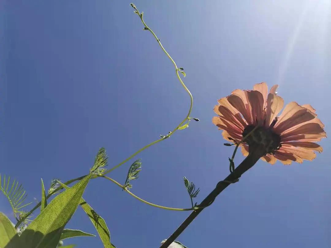 康源南城养老院,康源老年公寓适合居住吗