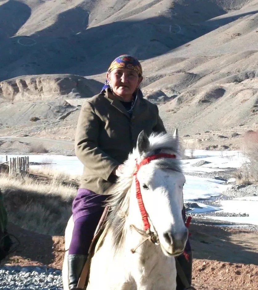 她用58年在边界刻下十万块中国石，荣获“人民楷模”称号