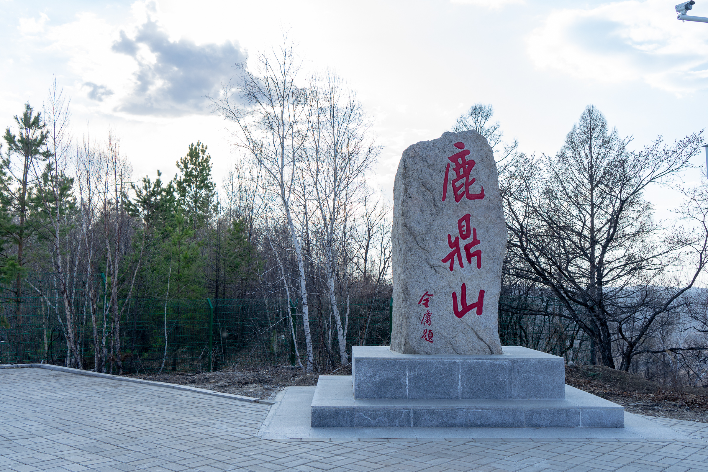 大自然的馈赠满山遍野的花,大自然的馈赠深山老林