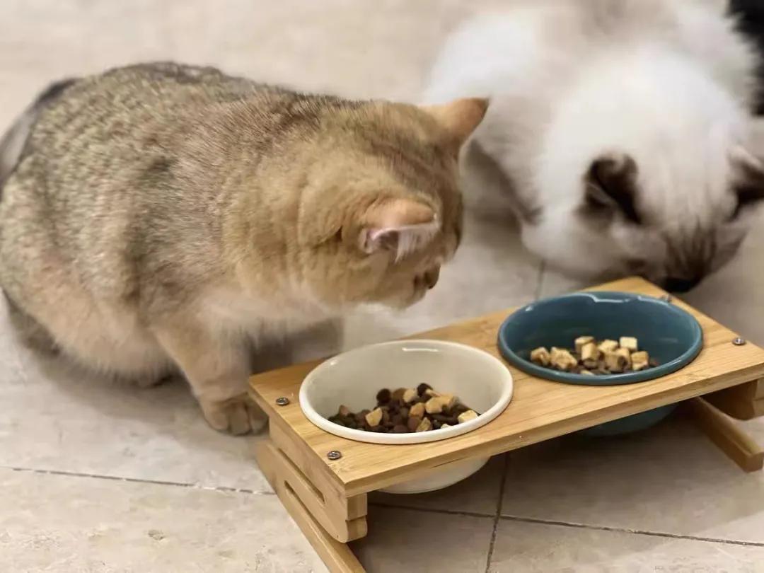 网购换关键词价格立马便宜一半,网购时换个搜索词