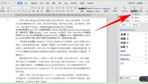 「干货集」WPS技巧汇总(一)