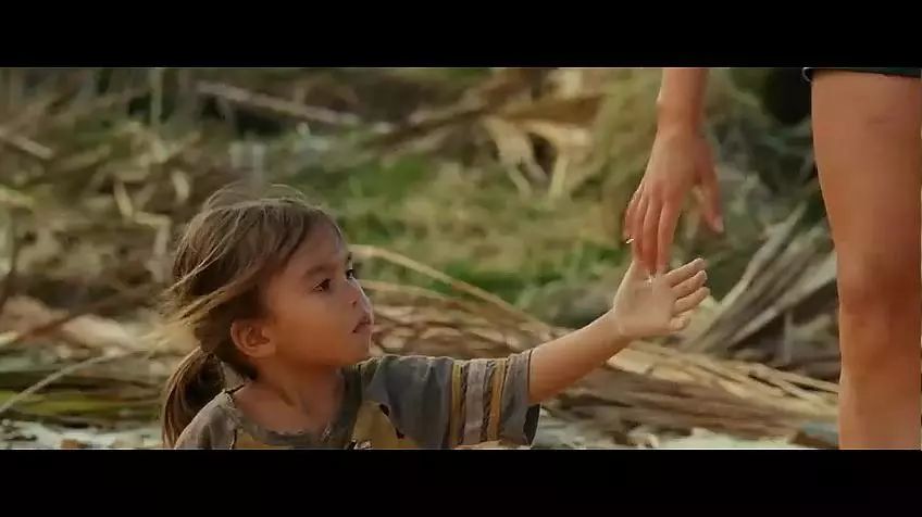 当遇见鲨鱼该怎么逃生,当在海里遇到鲨鱼怎么办