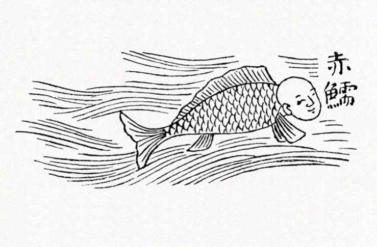 奇丑的人鱼图片,人鱼到底长什么样子