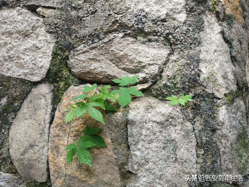 高冠瀑布现在开放吗,高冠瀑布值得去不