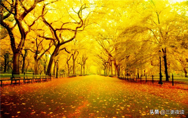 学习水之智慧,学水之善行天下