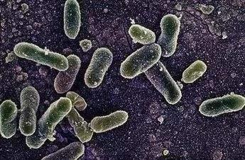 砧板消毒机测评,morphyrichards刀具砧板消毒机好用么