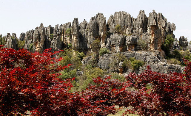 打卡新白娘子传奇杭州取景地,三月杭州打卡景点