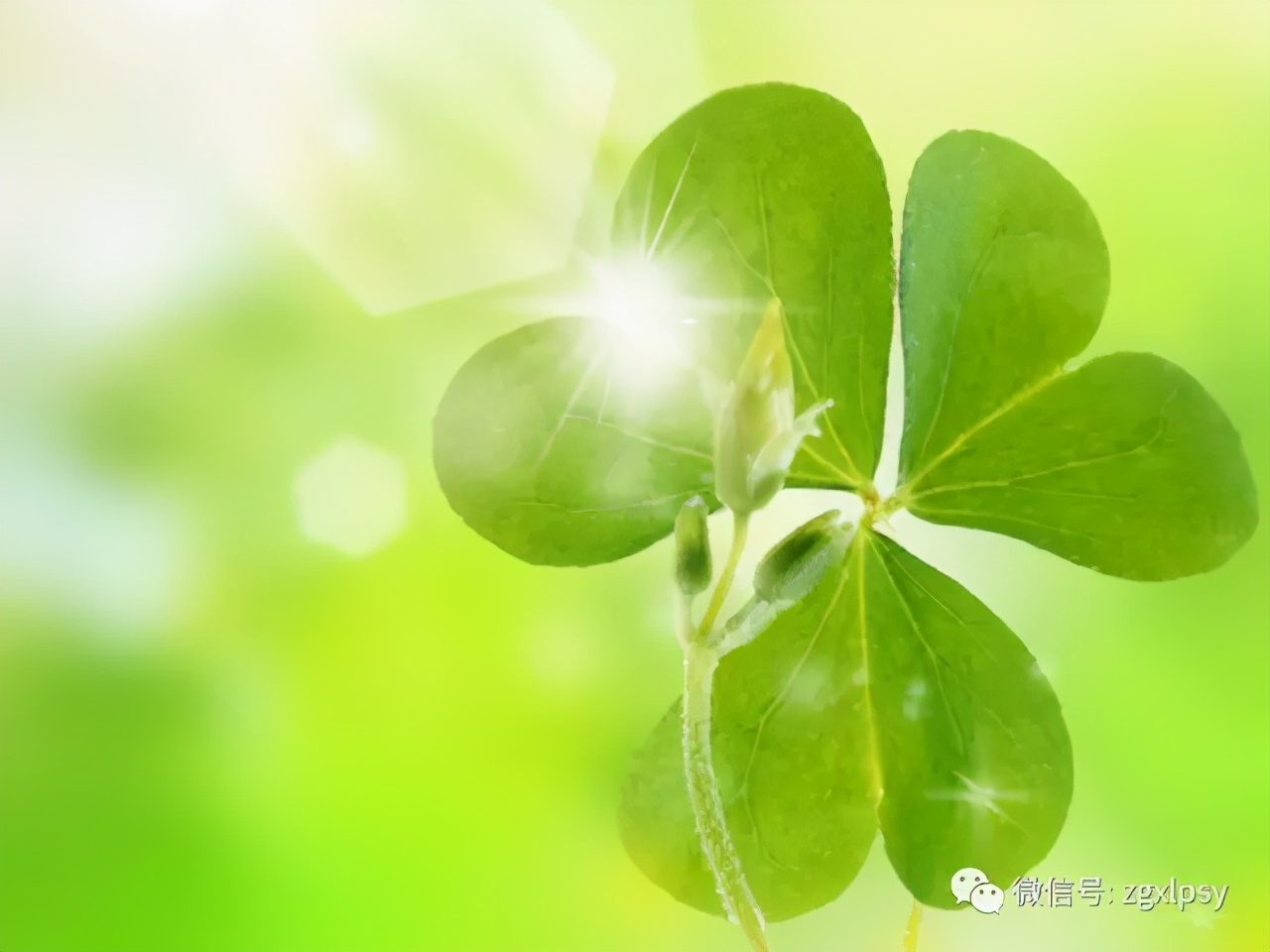 如何寻求心理治疗,如何寻求专业的心理帮助