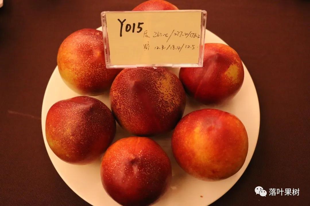 中国桃产业转型升级,桃产业转型升级的思考