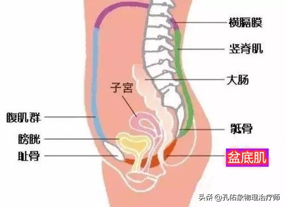 生过孩子女生体验分娩痛,生过孩子的女人老是腰痛