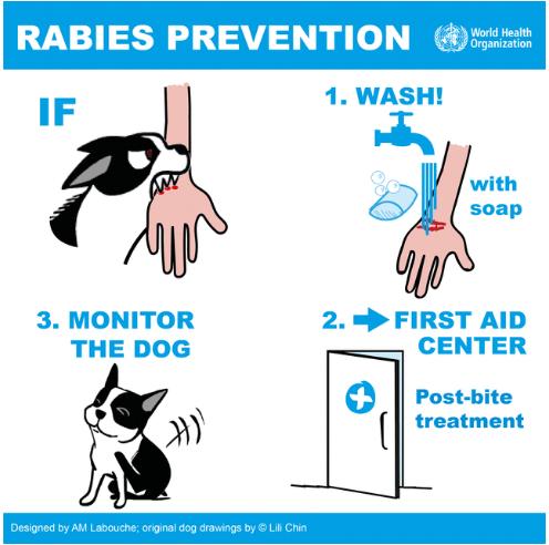 我10岁的时候被狗咬过,10岁那年被狗咬了原视频