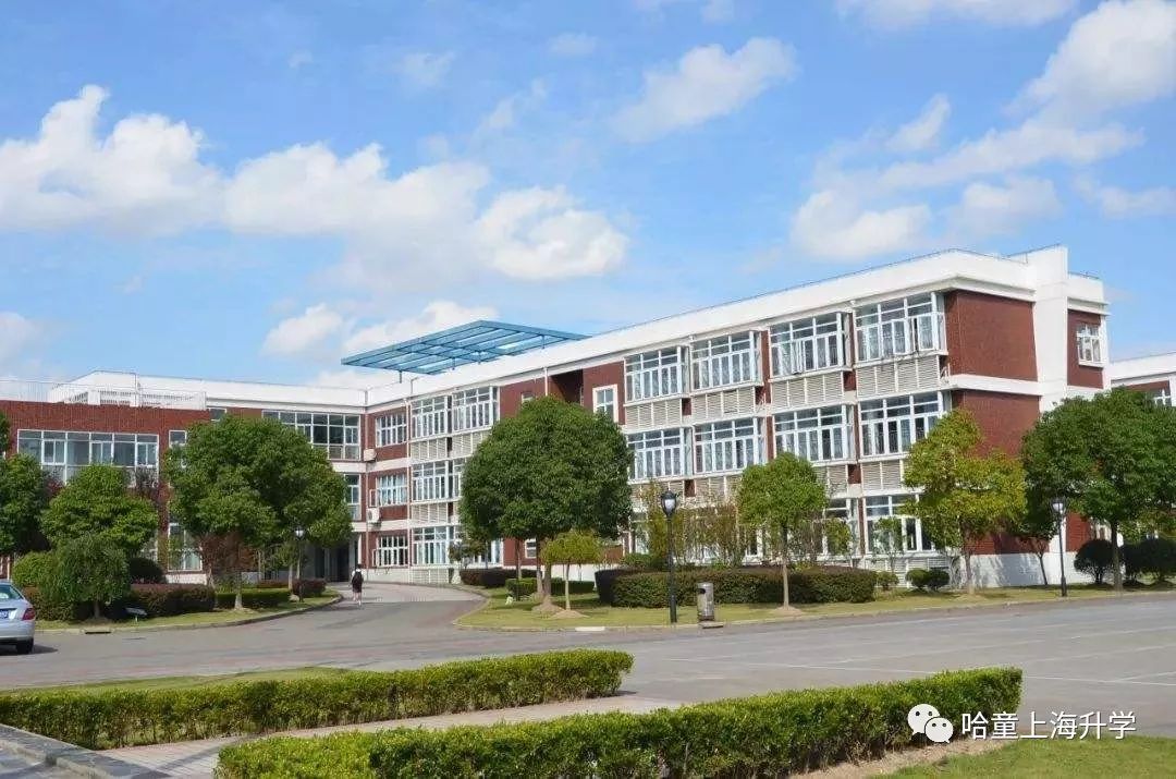 张江学区小学,张江小学学区划分